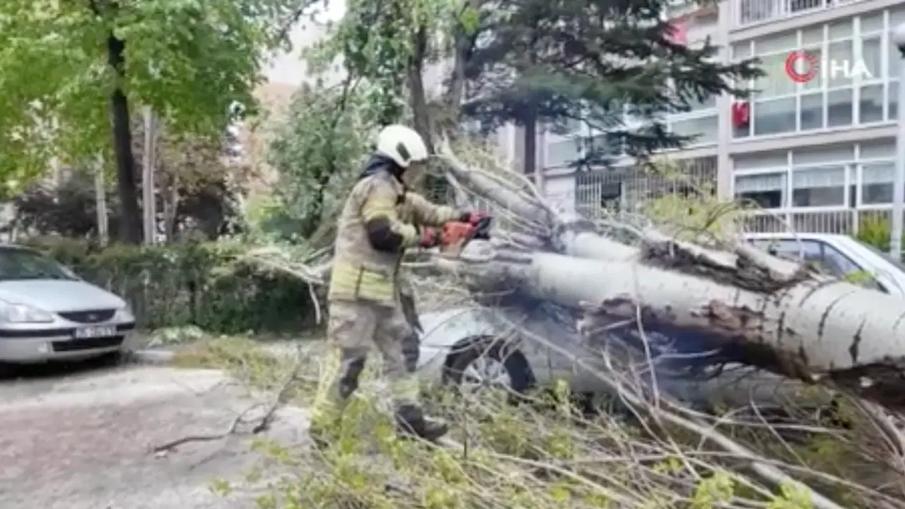 İstanbul'da poyraz etkili oluyor... Beylikdüzü’nde ağaç, otomobilin üzerine devrildi