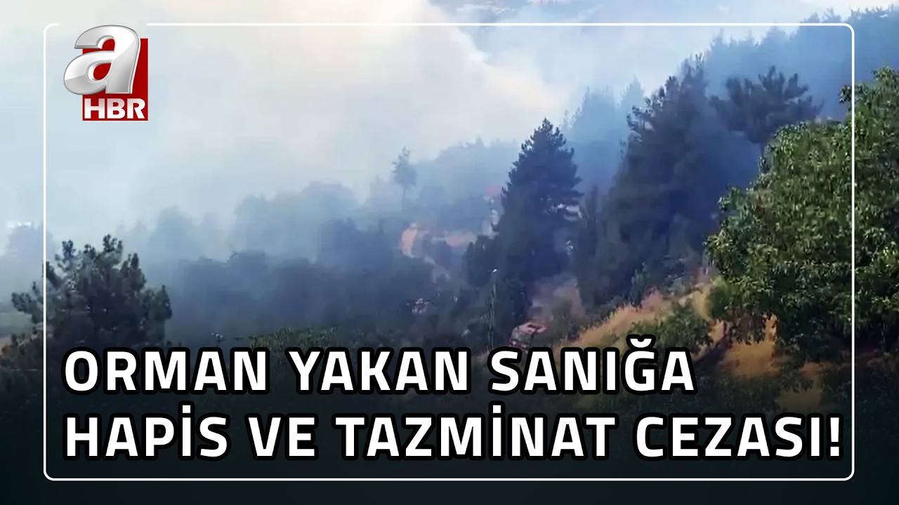 Torpille orman yakan şahsa dudak uçuklatan ceza: 5.5 yıl hapis ve 43 milyon TL para cezası
