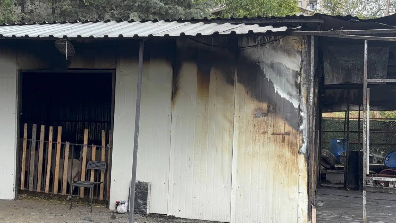 Eyüpsultan’da kurban kesim alanında yangın: 1 kişi hayatını kaybetti