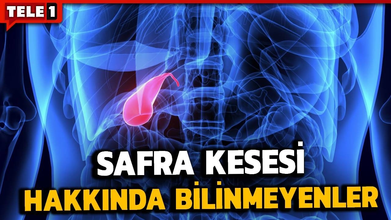 Onkoloji Uzmanı teker teker anlattı! Mide ve bağırsak kanseri neden olur? | SAĞLIK GÜNDEMİ