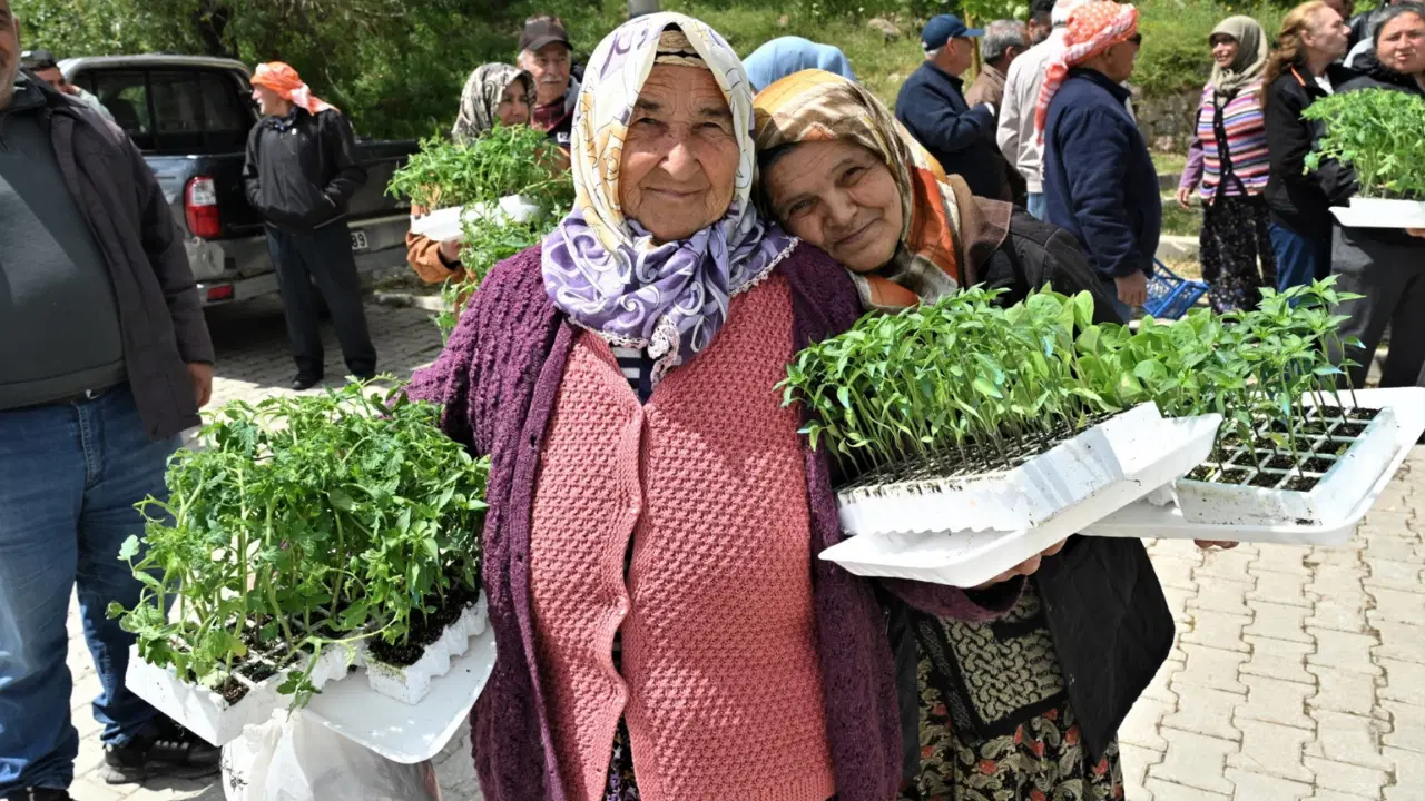 Bornova’da üreticiye 150 bin yazlık sebze fidesi dağıtıldı