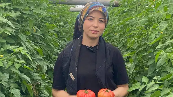 Genç çiftçi ilk hasadını yaptı: 500 kilo mahsul topladı