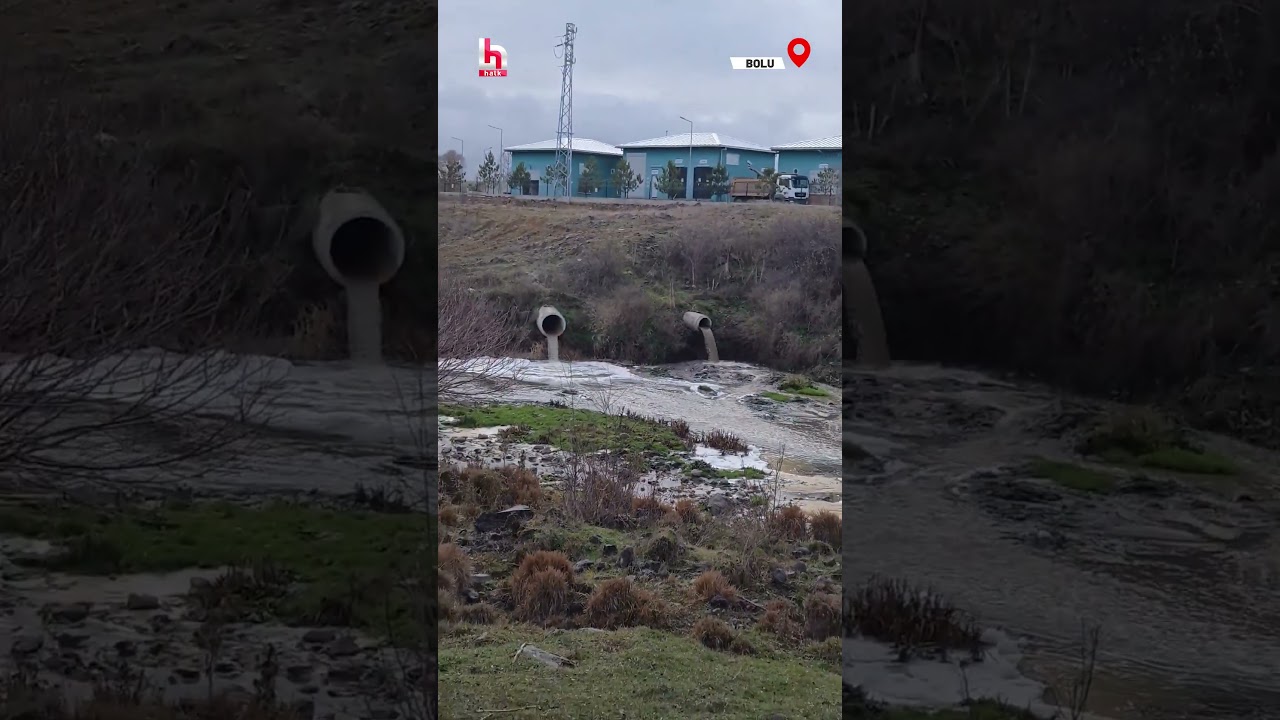 Gerede Çayı'ndan kahreden görüntüler! 286 km boyunca bütün coğrafya zehre bulanıyor