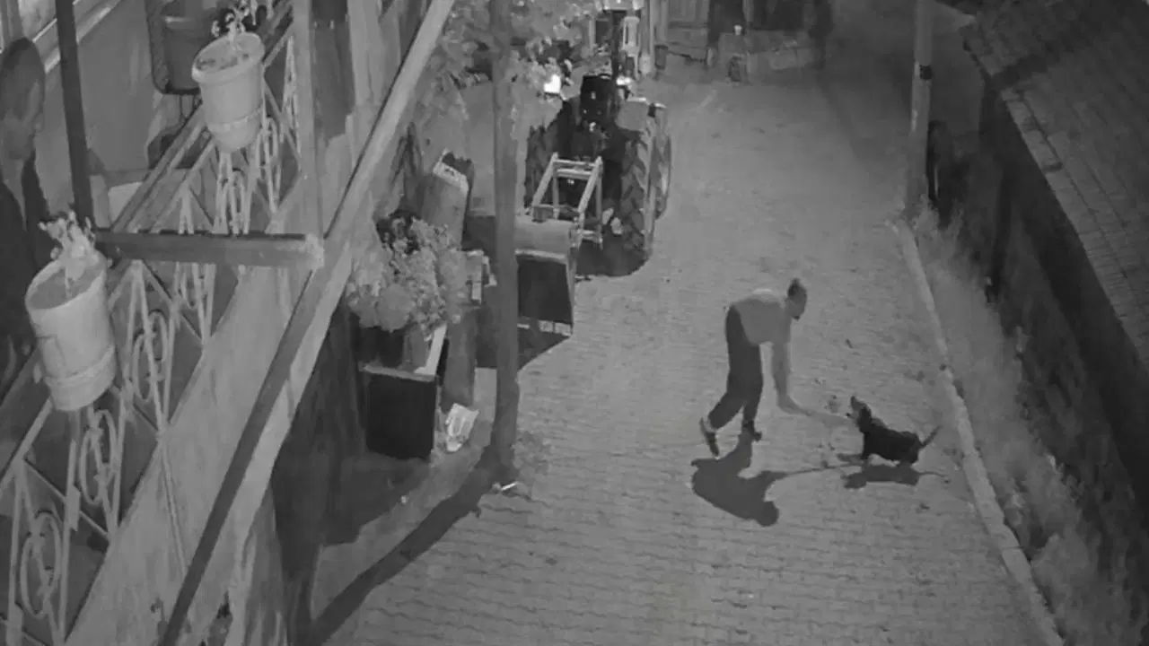 Köpeği demir çubukla öldüren şüpheli tutuklandı