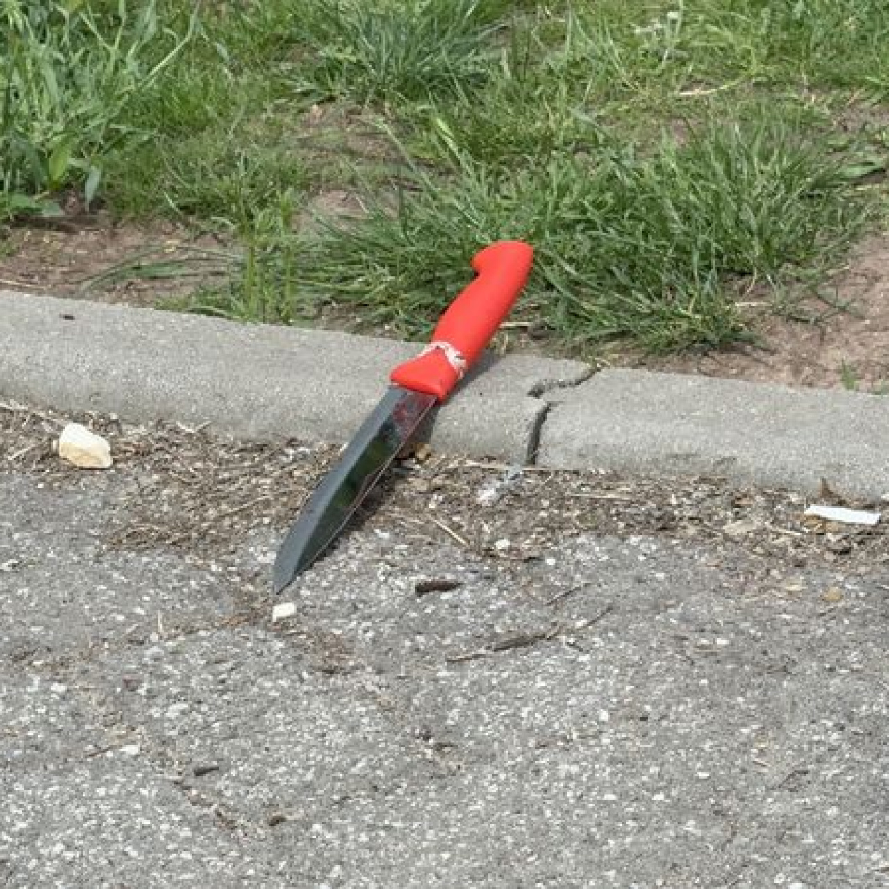 Eskişehir'deki olay, Büyükdere Mahallesi Güller Sokak'taki bir parkta meydana geldi.