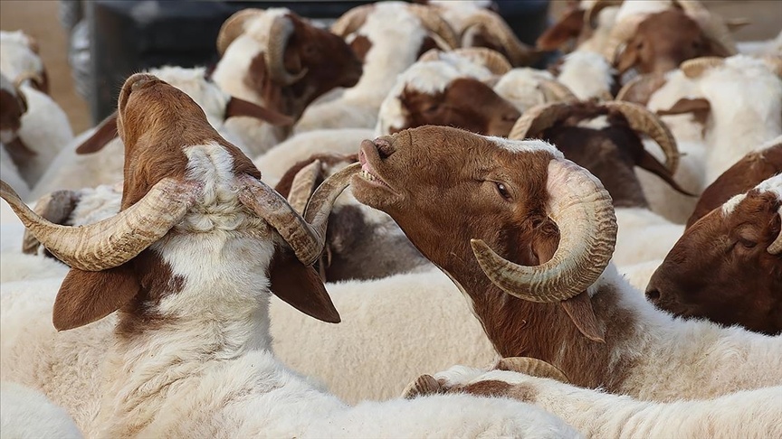 9 günlük bayram tatili için geri sayım başladı.