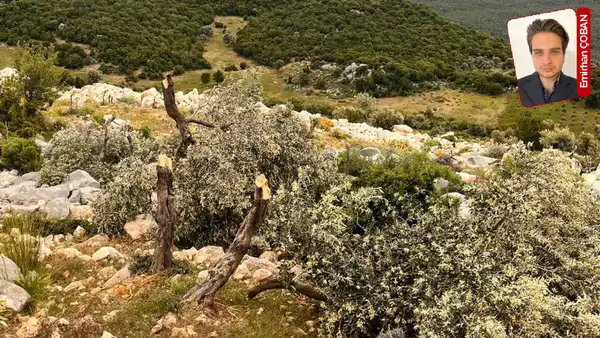 Antalya Kaş Kalkan’da Patara Koyu’nu gören 17 parselden oluşan yaklaşık 196 bin metrekarelik bölge, 2021 yılında Orman