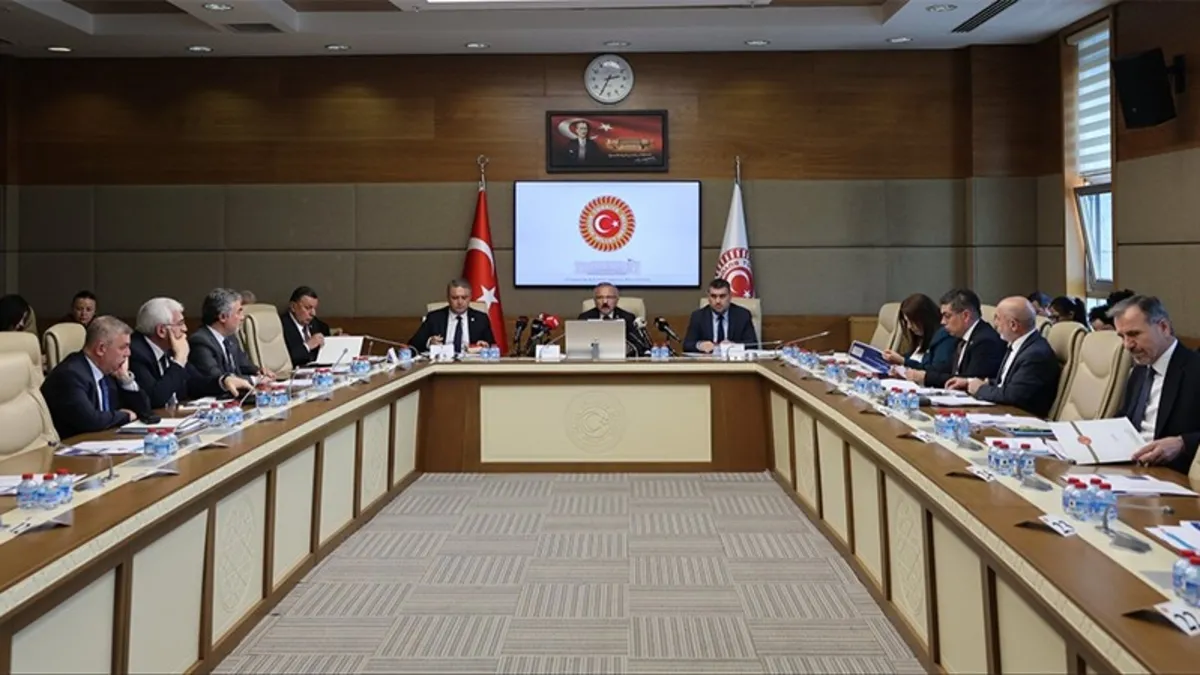 TBMM Okul Saldırılarının Nedenlerini Araştırma Komisyonu, çocuk ve ergen ruh sağlığı, çocuk psikiyatri ve sosyal pediatri ala
