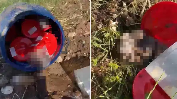 Şanlıurfa'nın Haliliye ilçesinde bulunan Asri Mezarlık’ta bulunan plastik varilin içinde 21 insan ceninin bulundu.