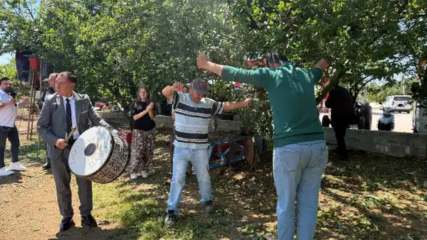 Geçtiğimiz sezon don sebebiyle yok yılı yaşanıp vatandaşların el süremediği erik, bu sene var yılını yaşıyor.