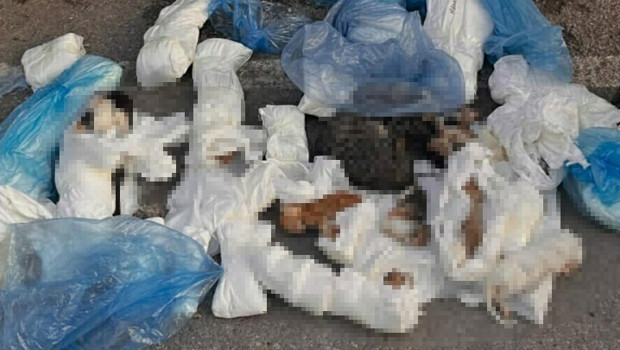 İzmir'in Buca ilçesinde Barış Mahallesi Adnan Kahveci Caddesi'ndeki bir çöp konteynerinin önünde bulunan çöp poşetlerinde, dü