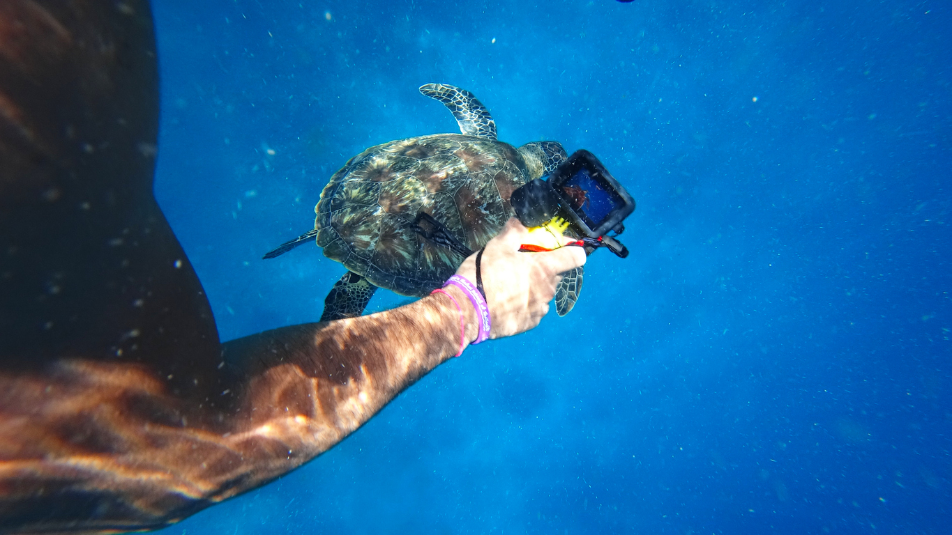 GoPro, Çinli rakiplerle rekabet edemedi.