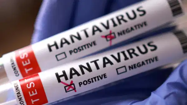 Gemide karantina, kırsalda alarm: Hantavirüs kapımızda mı?