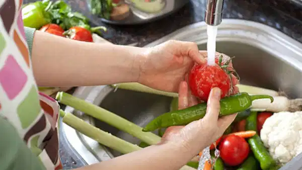 Artan yaşam maliyetleri, iklim krizine ilişkin büyüyen kaygılar ve tüketim alışkanlıklarının yeniden sorgulanması, gastronomi