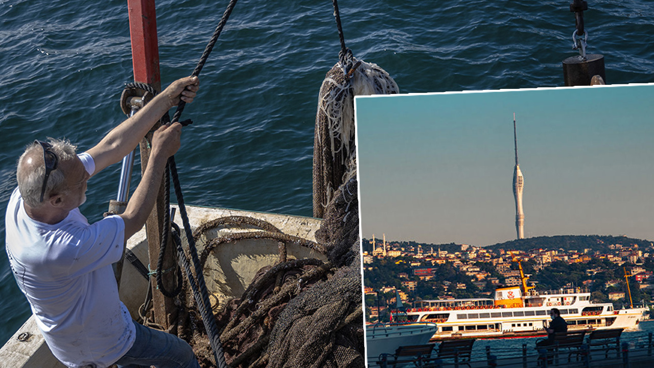 Türkiye'nin denizlerindeki biyoçeşitliliği bilimsel verilerle kayıt altına almayı ve vatandaşların katılımıyla deniz koruma