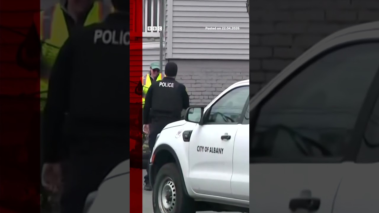 Black bear caught after falling from tree. #BBCNews