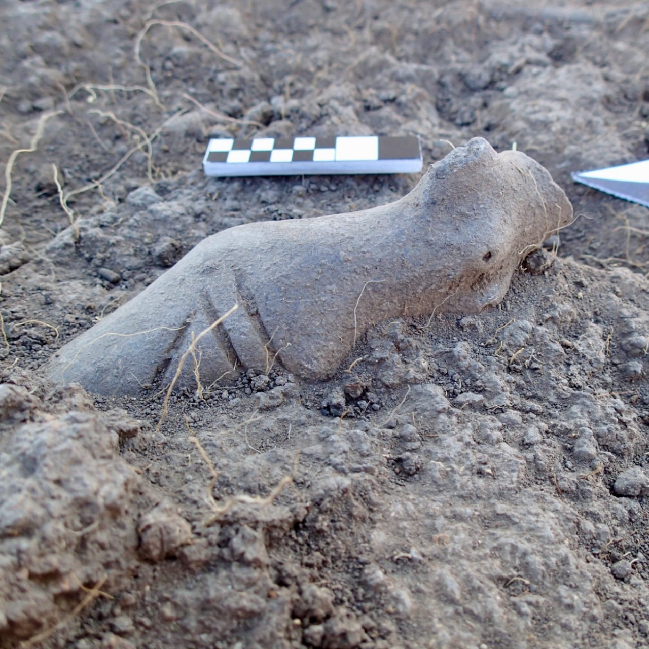 Eskişehir, Afyonkarahisar ve Kütahya'nın yer aldığı İç Batı Anadolu'nun en eski yerleşimi Kanlıtaş Höyüğü'ndeki kazılar, 2013
