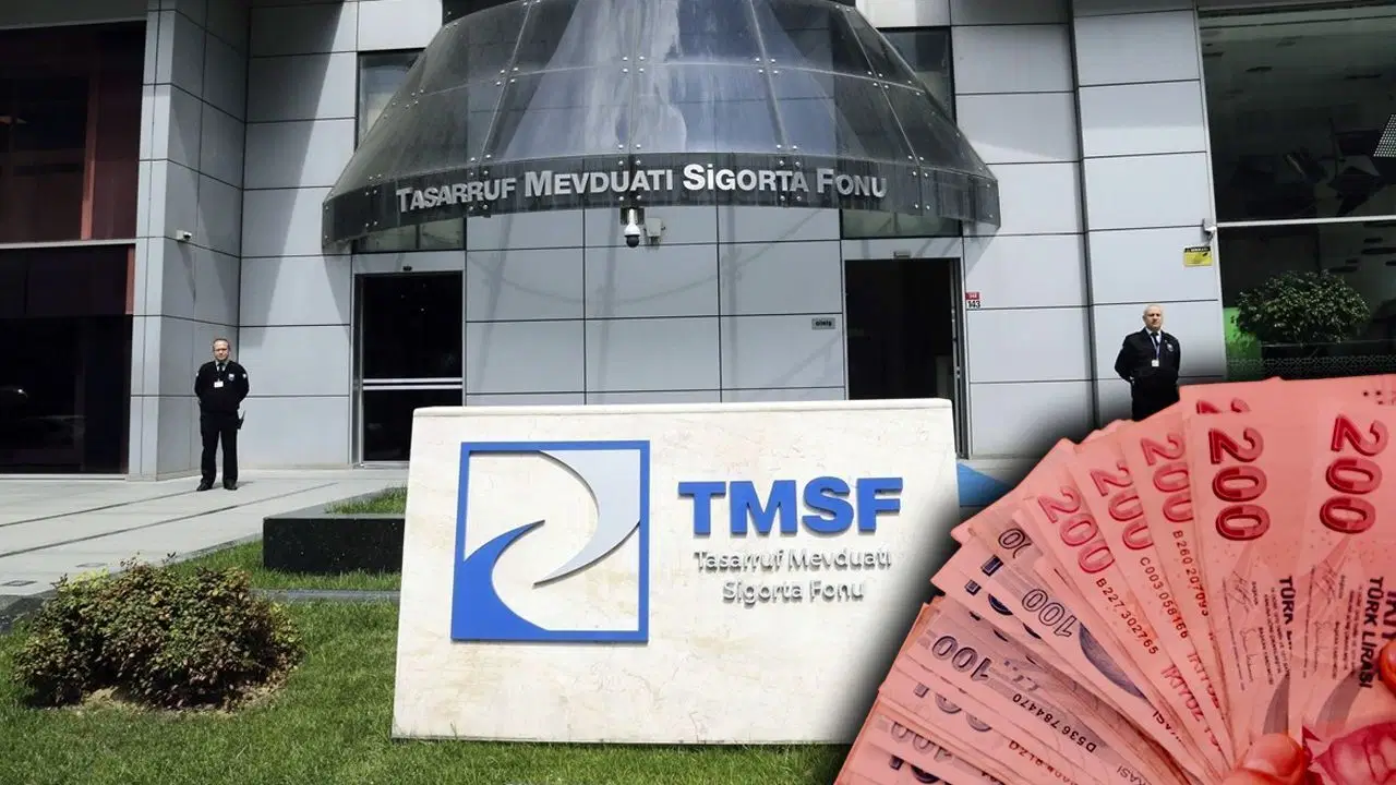Tasarruf Mevduatı Sigorta Fonu (TMSF), kayyım olarak atandığı Assan Group Makine Savunma Sanayi Anonim Şirketi'ne ait