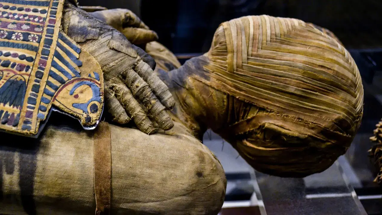 Mısır mumyasının içinden 'Truva' destanı çıktı!