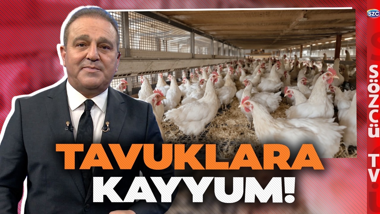 Tavuklara Kayyum Atandı! Ucuz Et Hayal Oldu! Ekrem Açıkel Beyaz Et Vurgununu İfşa Etti