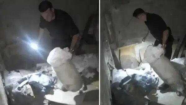 İstanbul'da uyuşturucu deposuna çevrilen aile binasına baskın: 'Peçeteye sarıp yutuyoruz'