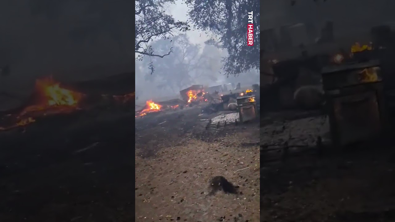 ABD'de 700 futbol sahası büyüklüğünde bir alana yayılan orman yangınında 50 ev küle döndü