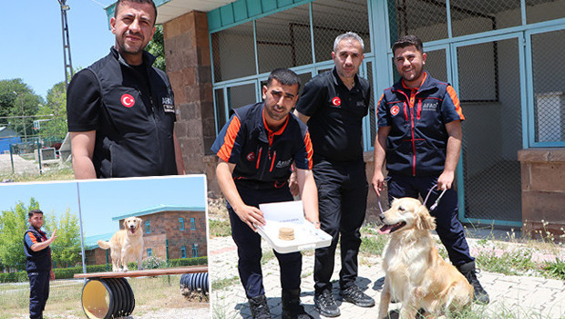 Kahramanmaraş merkezli 6 Şubat'ta meydana gelen, 11 ili etkileyen depremlerde arama kurtarma köpekleri de görev yaptı ve bu s
