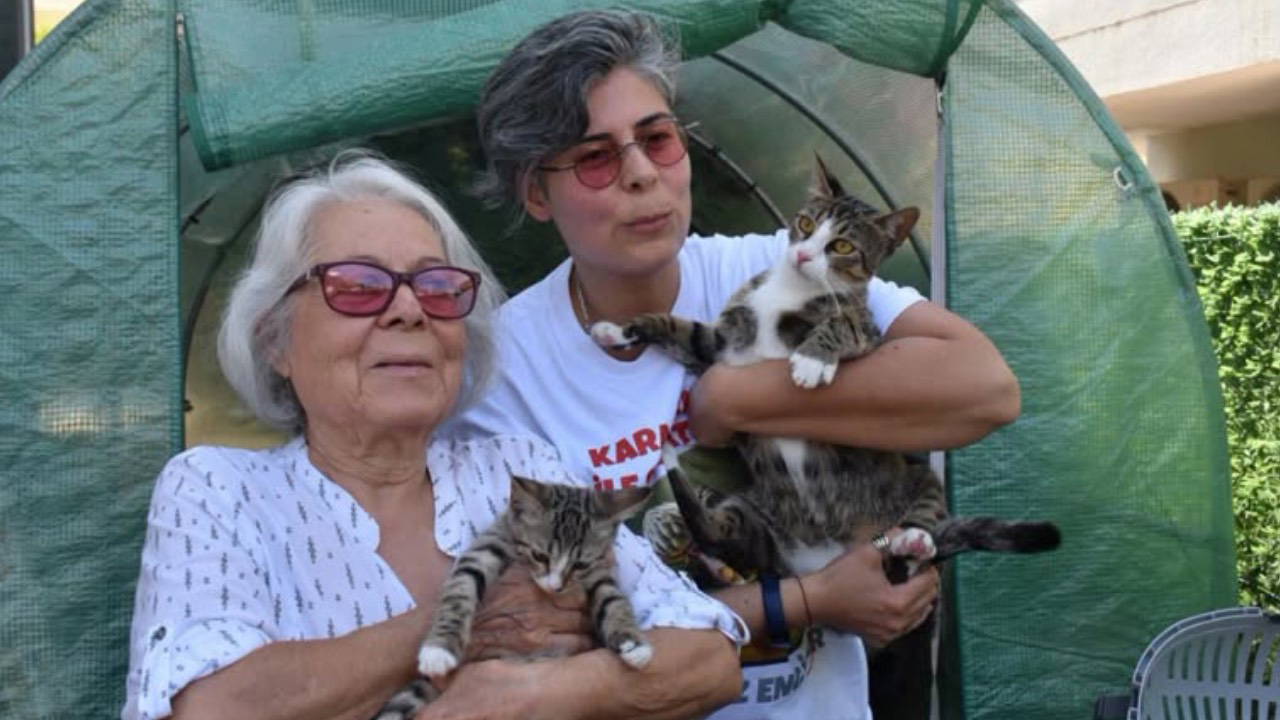 İzmir'in Urla ilçesinde yaşayan Aylin Bermant'ın (44), 13 aydır erkek olduğunu düşündüğü ve 'Cengo' adını verdiği tekir kedis