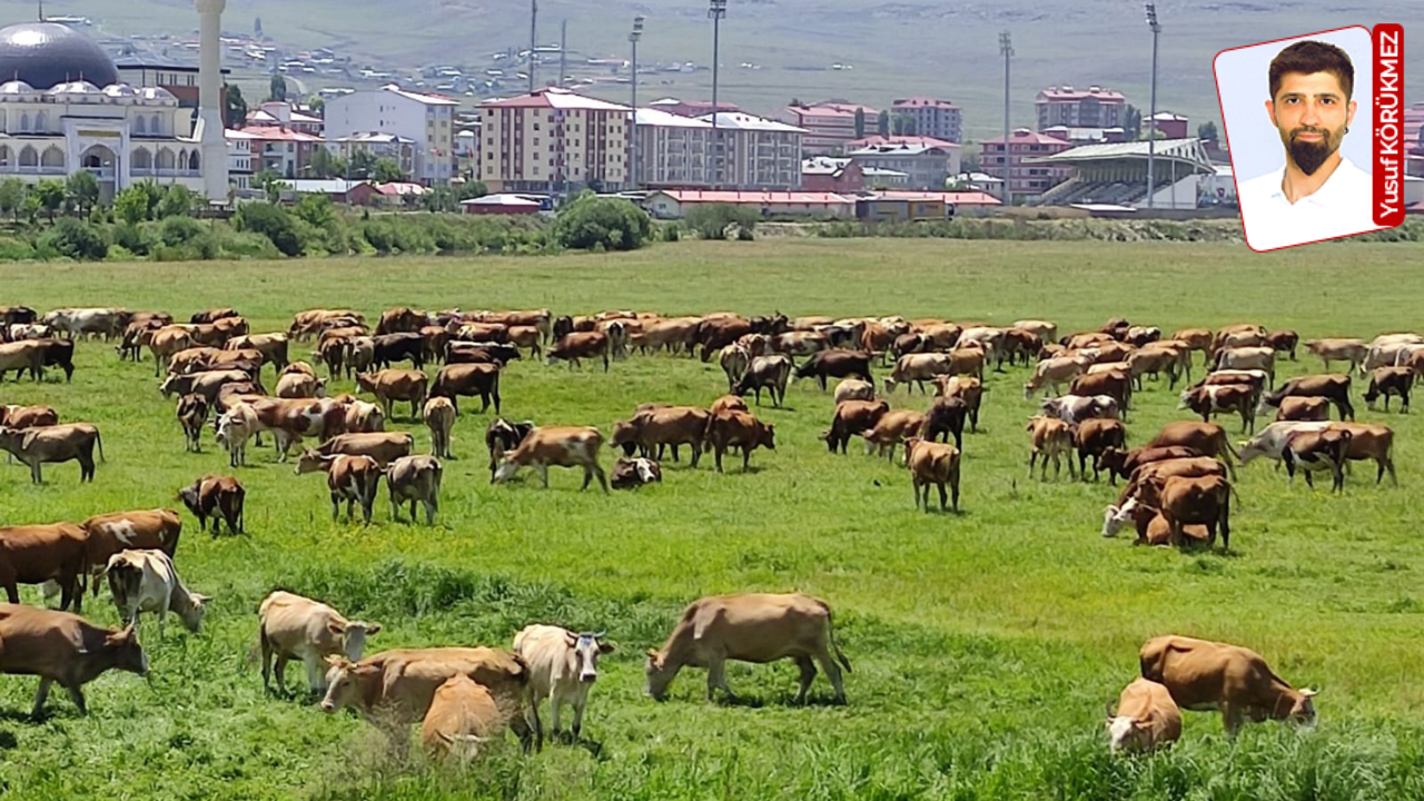 Gıda egemenliği tehlikede