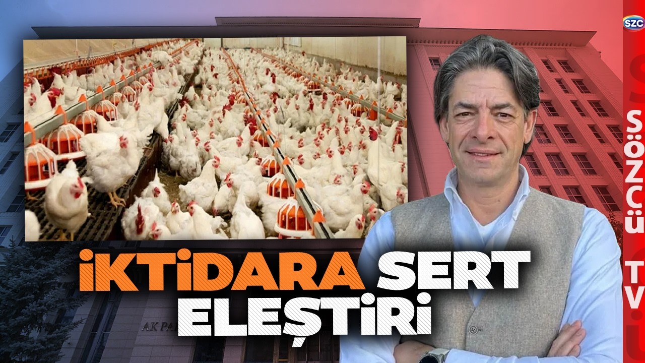 Tavuklara Kayyum Atanmıştı! Yaklaşan Tehlikeyi Sencer Solakoğlu Ortaya Çıkardı!