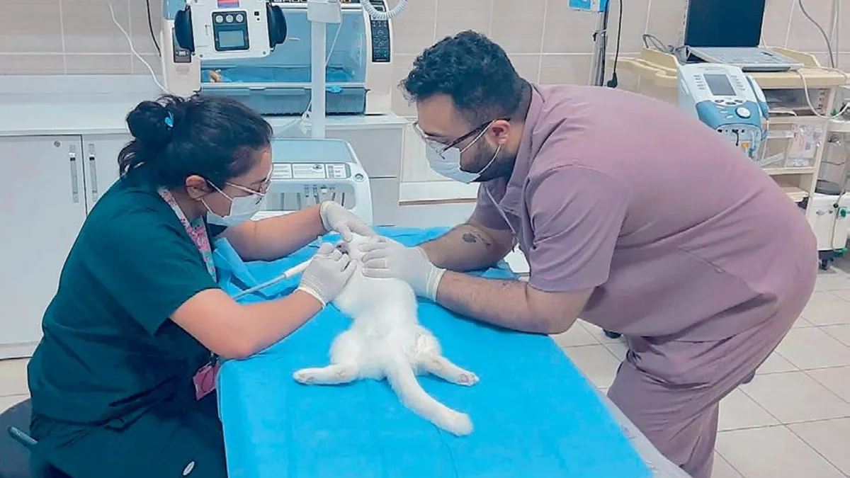 5 yıldızlı hayvan hastanesi