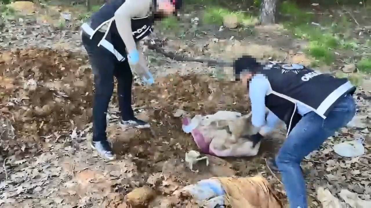 Pendik'te toprak altındaki depoda binlerce silah parçası bulundu