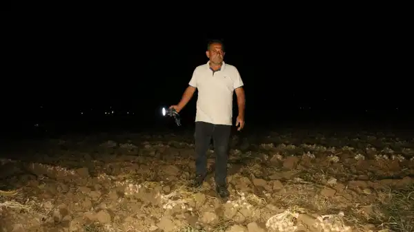 'Beyaz altın' için uykusuz nöbet:  Raf ömrüyle rakipsiz, Avrupa'nın göz bebeği...