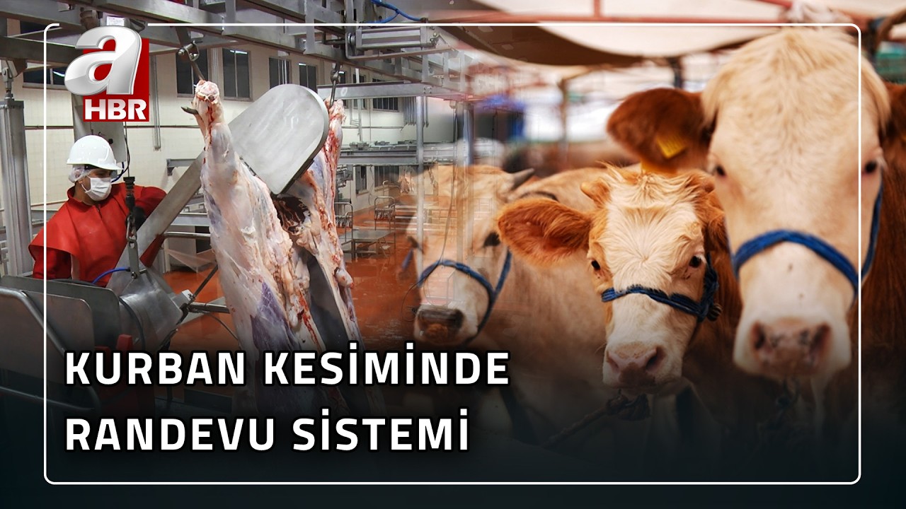 Kurban Bayramı Öncesi Kritik Kararlar!  Kurban Kesim Yerlerinde Randevu Sistemi...  | A Haber