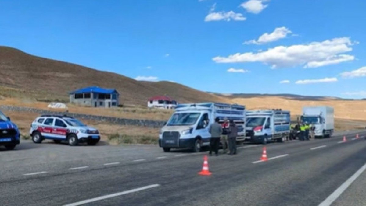 81 ilde yapılan denetimlerde, 25 göçmen kaçakçılığı organizatörü ile 355 düzensiz göçmen yakalandı