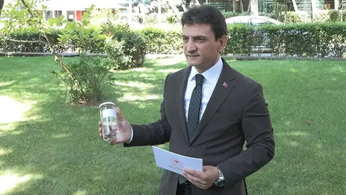 İstanbul’da çekirge istilası var mı? İstanbul İl Tarım ve Orman Müdürü Parıldar'dan açıklama geldi