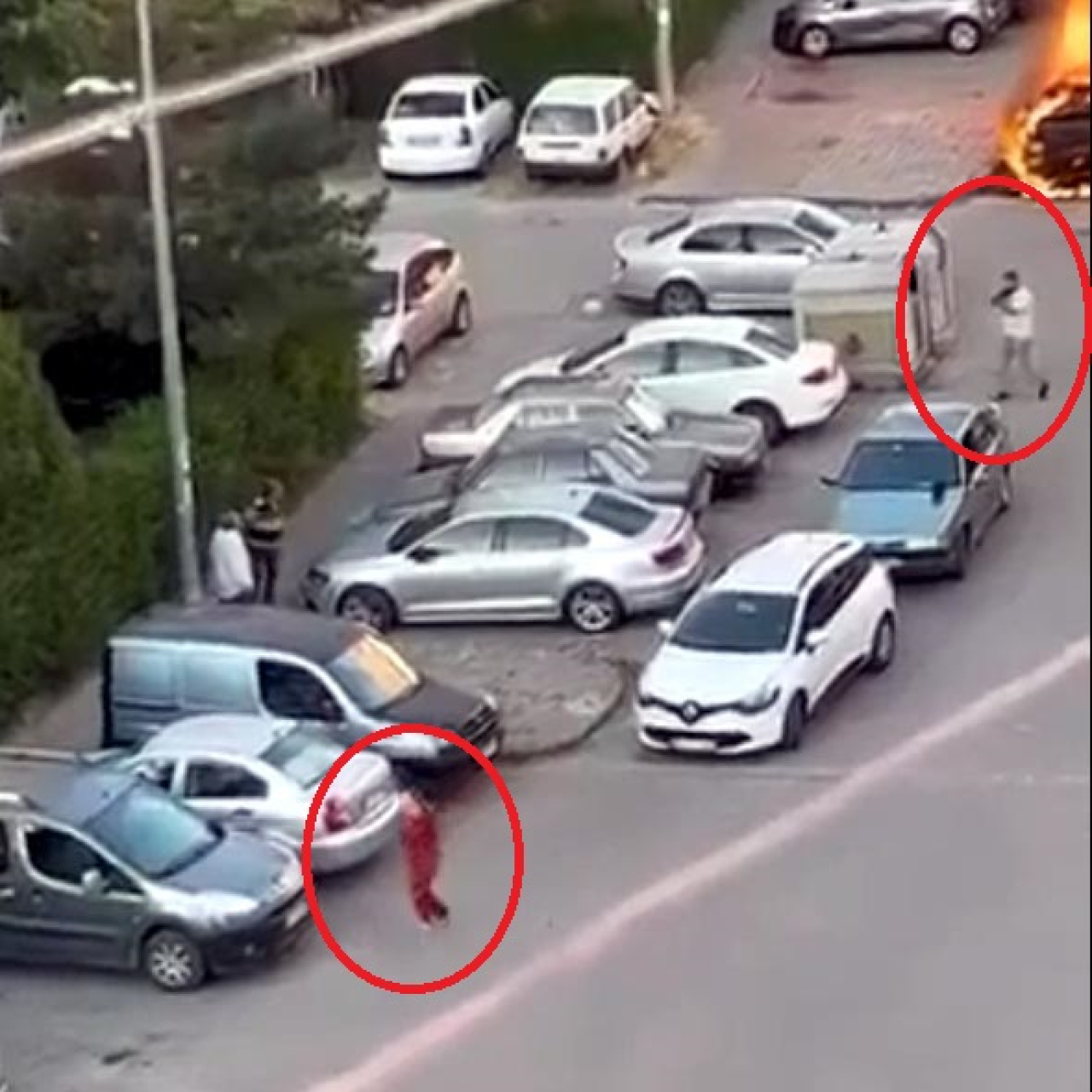 Kabusun fotoğrafı! 