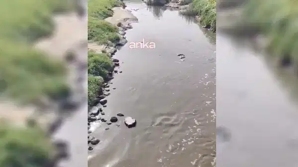 Mahmut Tanal'dan Eyyübiye iddiası: 'Yeraltı sularına ve tarım alanlarına karışıyor'