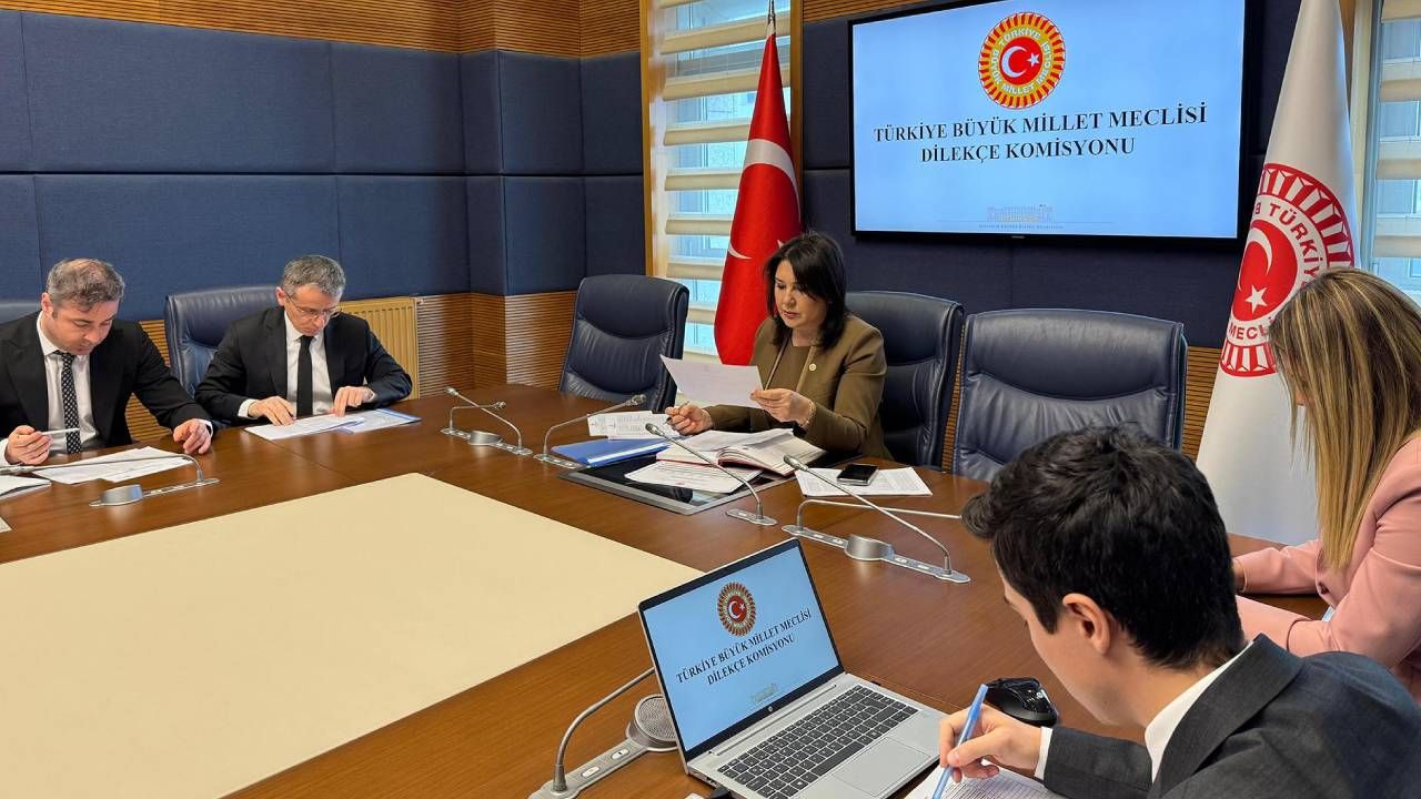 TBMM Dilekçe Komisyonu'na ilginç talepler. 
