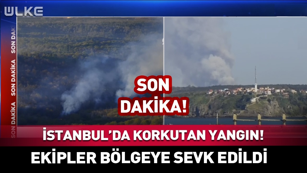 İstanbul'da Korkutan Yangın! Ekipler Bölgeye Sevk Edildi #sondakika