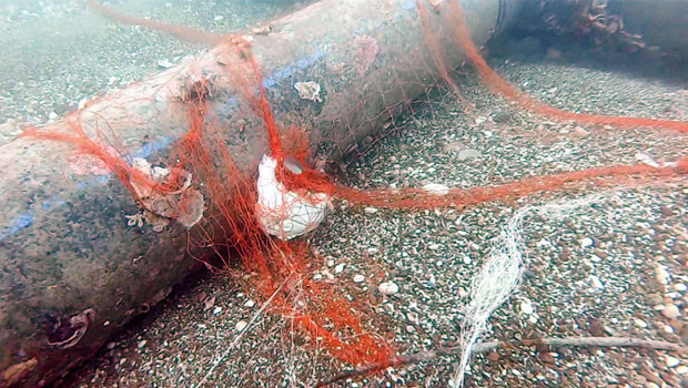 Hayalet ağlar operasyonu