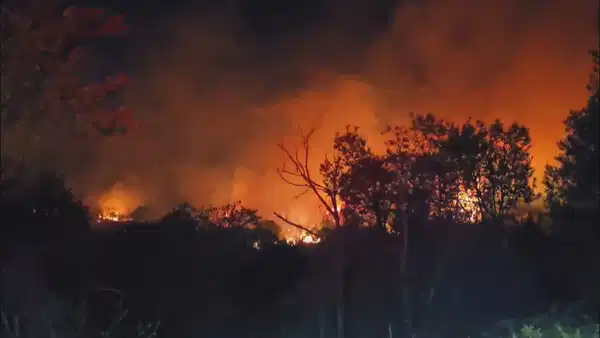 Rüzgarın etkisiyle alevler yeniden yükselmişti: Beykoz'da orman yangını kontrol altına alındı