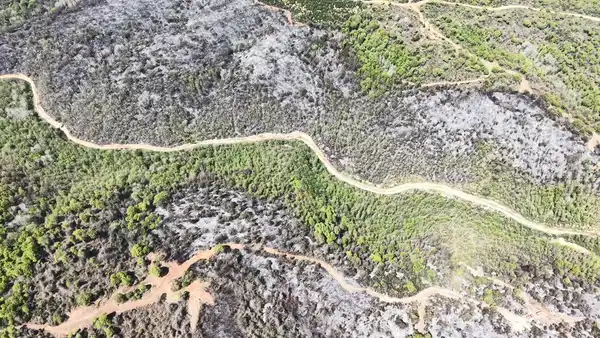 Beykoz'da orman yangını: Zarar gören alan havadan görüntülendi