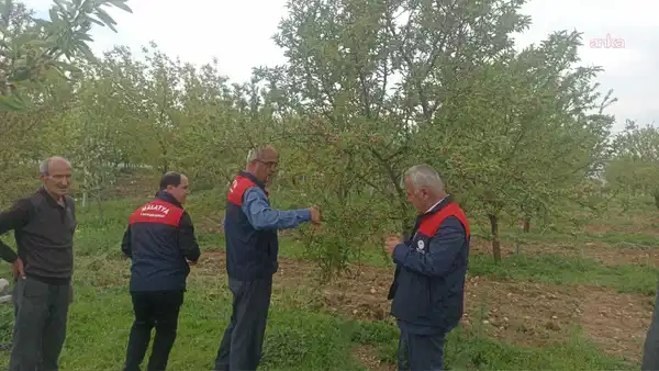 Malatya’da dolu felaketi: Kayısı ve meyve ağaçlarında zarar, hasar tespit çalışmaları başlatıldı