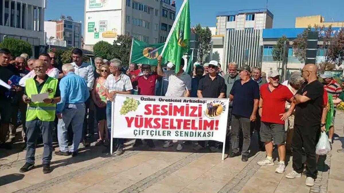 Manisa'nın Salihli ilçesinde üzüm üreticileri, Tarım Satış Kooperatifleri Birliği (TARİŞ) tarafından 2026 yılı için belirlene
