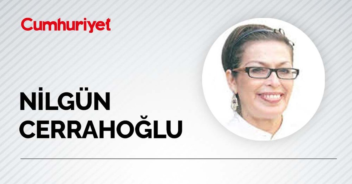 Berhan Şimşek butlan CHP’sinin portresi