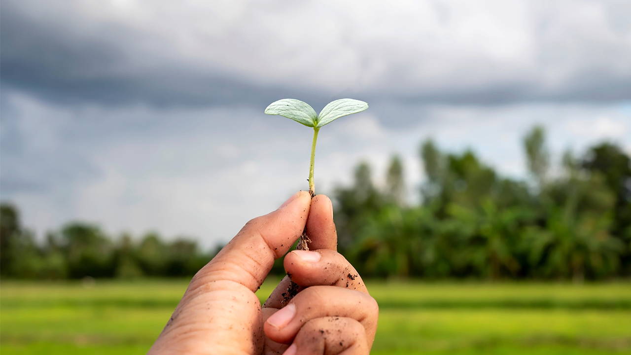 Ortaokul öğrencileri okullarında sürdürülebilir tarımı öğreniyor