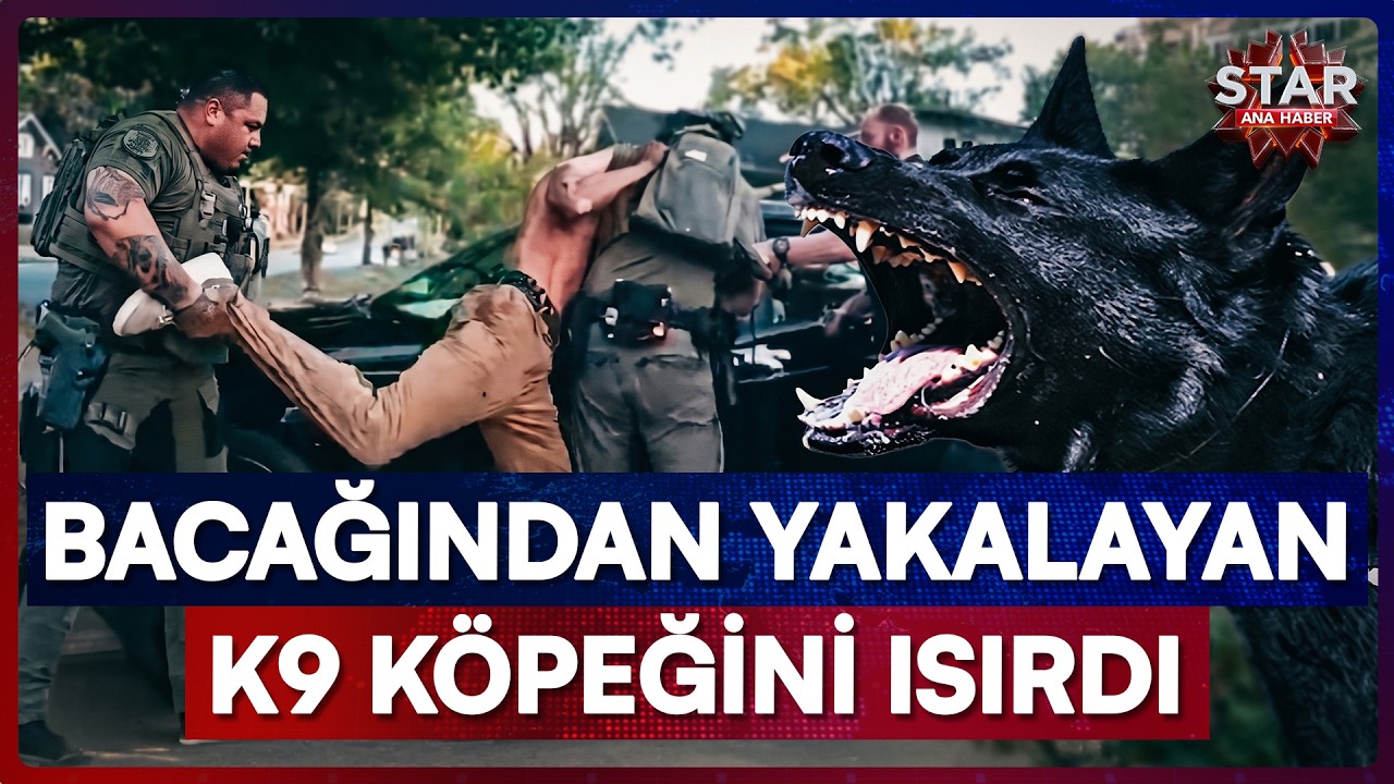 Bu Sefer Roller Değişti! Adam Köpeği Isırınca Ortalık Karıştı | Star Ana Haber