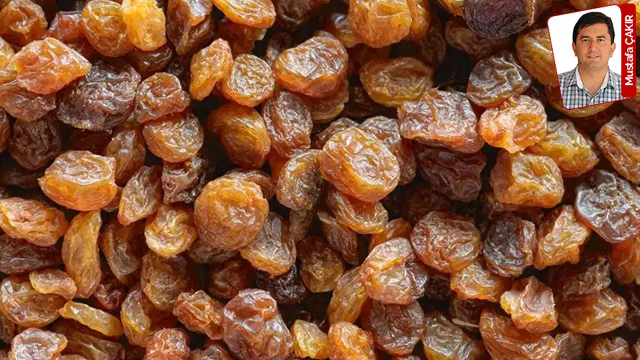 Hayvan yemi adı altında ithal edilip pekmez, sirke ve alkol fabrikalarına gönderildiği iddia ediliyor: Üzümde hile kuşkusu!