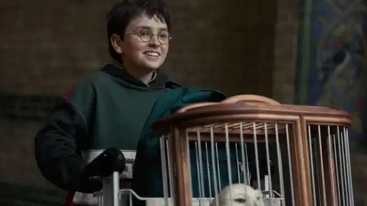 HBO'nun büyük merakla beklenen Harry Potter dizisinin kadrosuna yeni ve dikkat çekici isimler dahil oldu.
